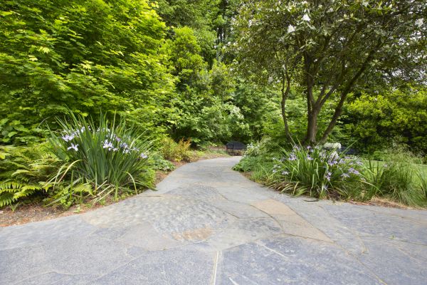 Stone Hardscape Service in Harrisburg